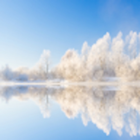 Meet your Posher, Lisa - Picture 1 of 1